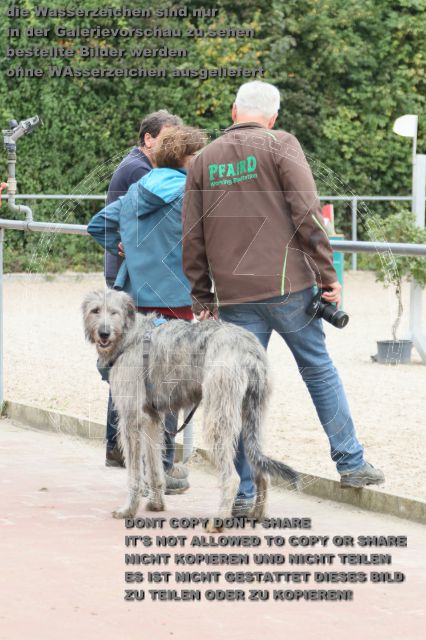 a_IMG_9163.JPG